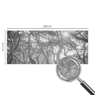 Fototapet modern la comandă Abstracție de copac