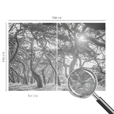 Fototapet modern la comandă Abstracție de copac