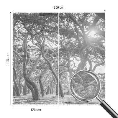 Fototapet modern la comandă Abstracție de copac