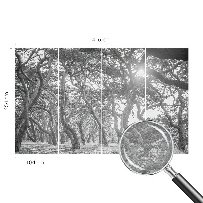 Fototapet modern la comandă Abstracție de copac