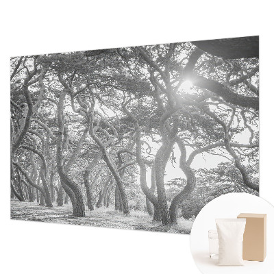 Fototapet modern la comandă Abstracție de copac