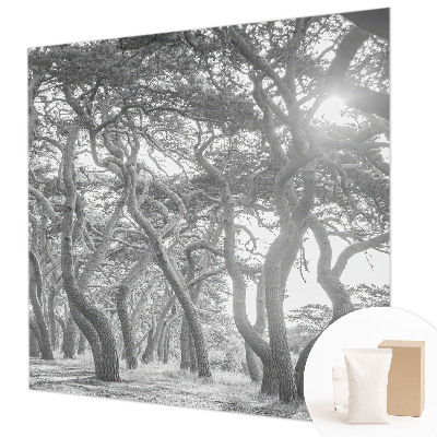 Fototapet modern la comandă Abstracție de copac