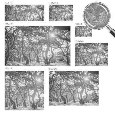 Fototapet modern la comandă Abstracție de copac