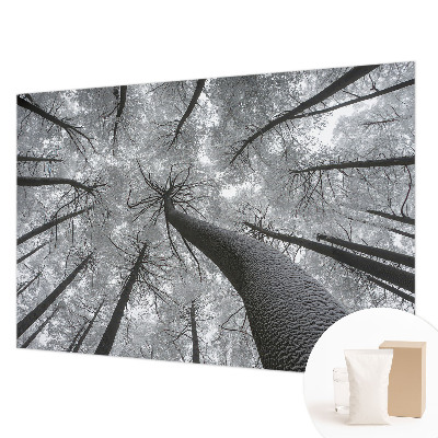 Fototapet pentru dormitor cu model de dungi abstracte