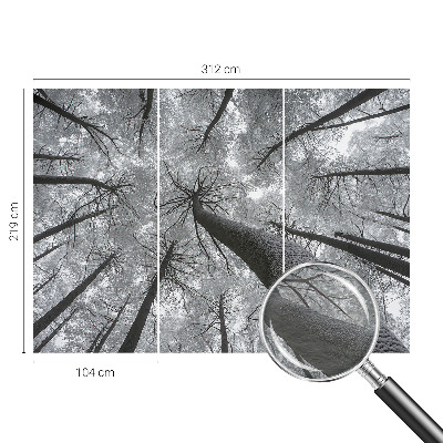 Fototapet pentru dormitor Dungi abstracte