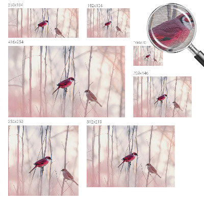 Fototapet vlies pentru living Frunze de lotus