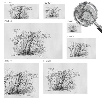 Fototapet pe perete Câmp de grâu