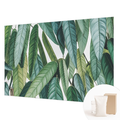 Tapet foto cu motiv de țărm tropical