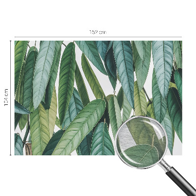 Tapet foto Țărm tropical