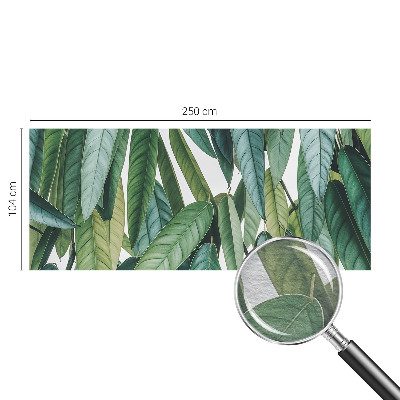 Tapet foto Țărm tropical