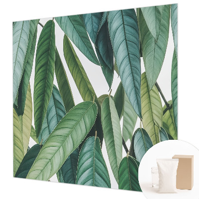 Tapet foto Țărm tropical