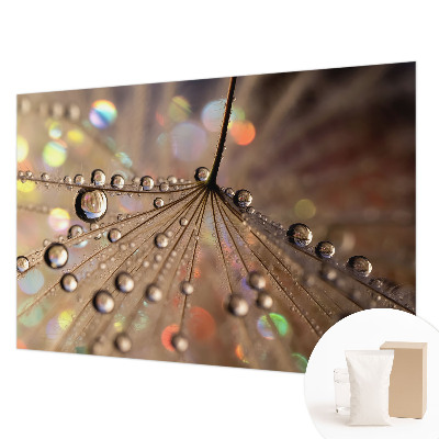 Tapet foto vlies Munți pitorești