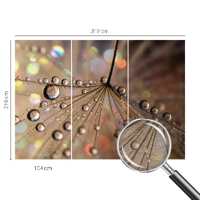 Tapet foto vlies Munți pitorești