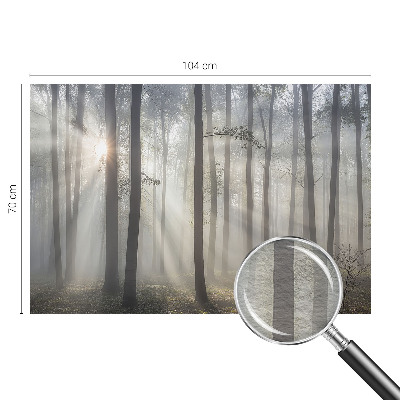 Fototapet pe perete Peisaj misterios