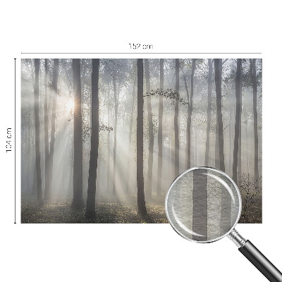 Fototapet pe perete Peisaj misterios