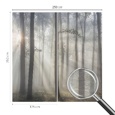 Fototapet pe perete Peisaj misterios