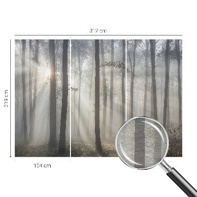 Fototapet pe perete Peisaj misterios