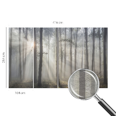 Fototapet pe perete Peisaj misterios