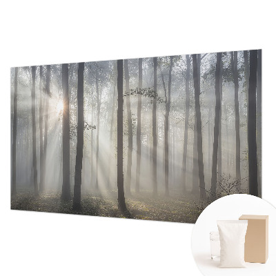 Fototapet pe perete Peisaj misterios