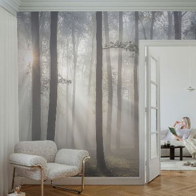 Fototapet pe perete Peisaj misterios