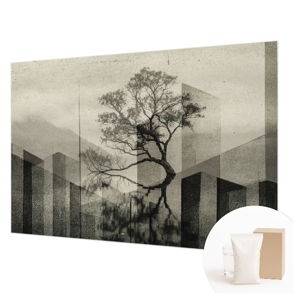 Fototapet modern Peisaj forestier