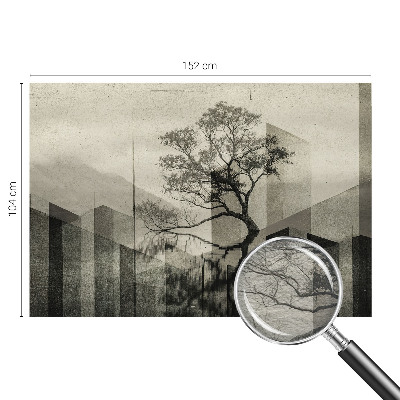 Fototapet modern Peisaj forestier