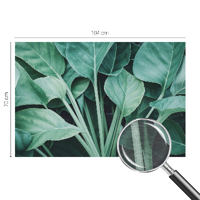 Fototapet pentru living Aventură pe mare