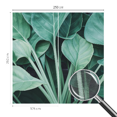 Fototapet pentru living Aventură pe mare