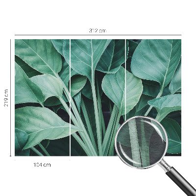 Fototapet pentru living Aventură pe mare