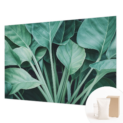 Fototapet pentru living Aventură pe mare