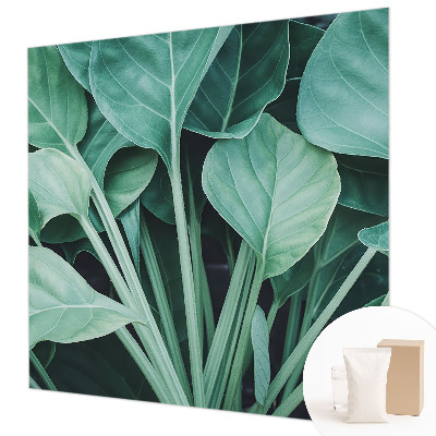 Fototapet pentru living Aventură pe mare