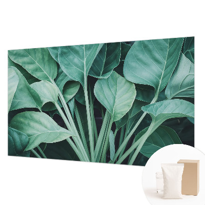 Fototapet pentru living Aventură pe mare