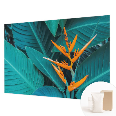 Fototapet la comandă pentru living Abstracție colorată