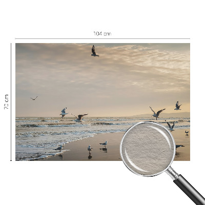 Fototapet pentru living Palmieri exotici