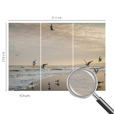 Fototapet pentru living Palmieri exotici