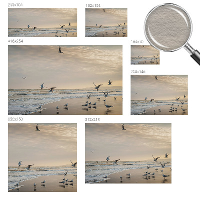 Fototapet pentru living Palmieri exotici