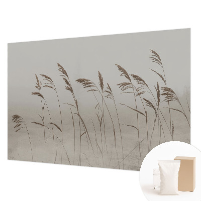 Fototapet vlies Nori de cer