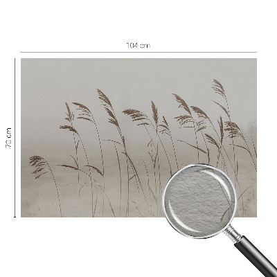 Fototapet vlies Nori de cer