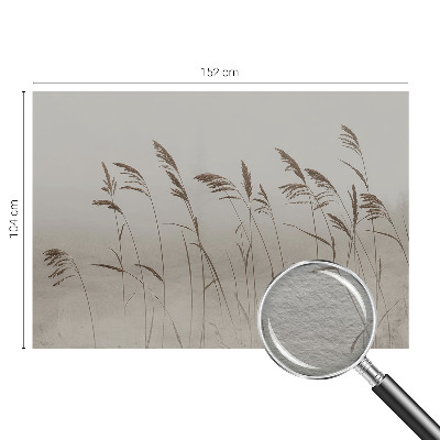 Fototapet vlies Nori de cer