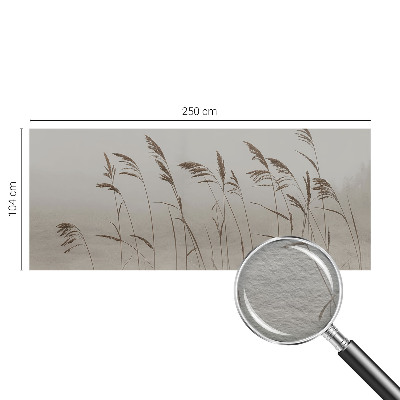 Fototapet vlies Nori de cer