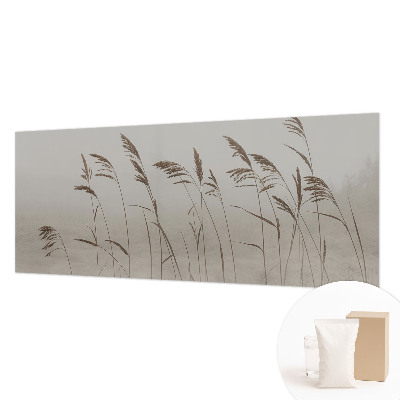 Fototapet vlies Nori de cer