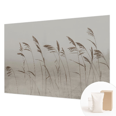 Fototapet vlies Nori de cer