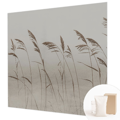 Fototapet vlies Nori de cer