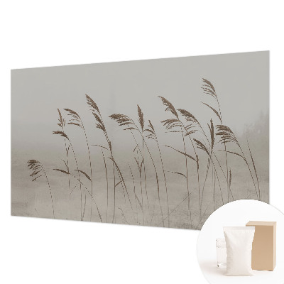 Fototapet vlies Nori de cer