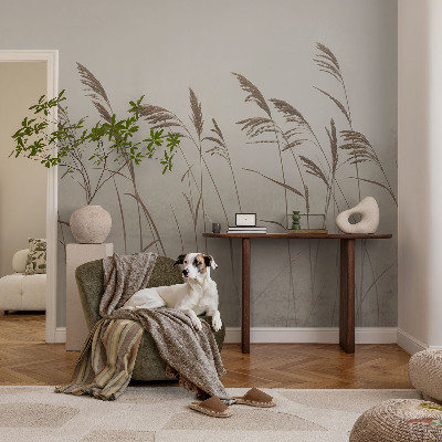 Fototapet vlies Nori de cer