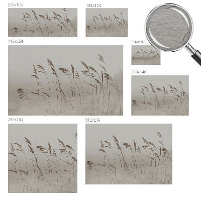 Fototapet vlies Nori de cer