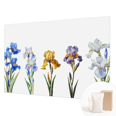 Tapet foto pe vlies Hartă istorică