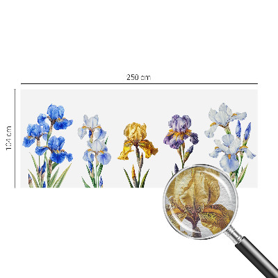 Tapet foto pe vlies Hartă istorică