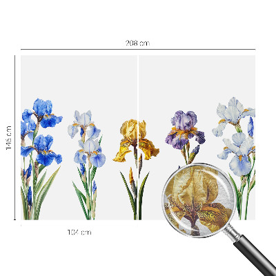 Tapet foto pe vlies Hartă istorică