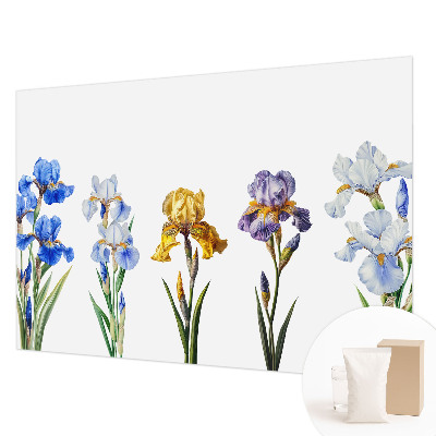 Tapet foto pe vlies Hartă istorică